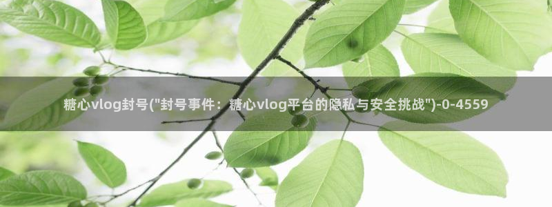 糖心app福利vlog