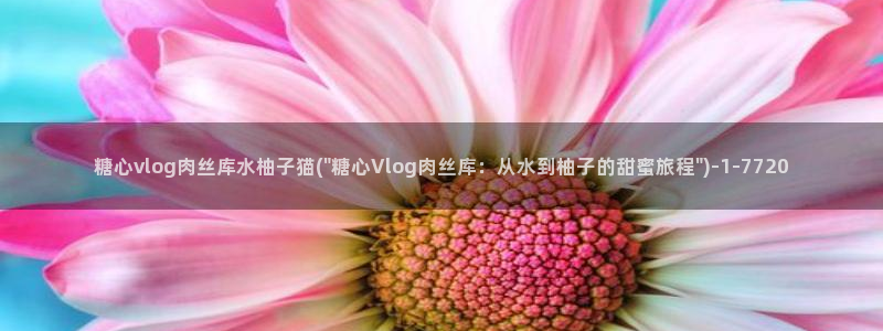 糖心vlog类似的视频