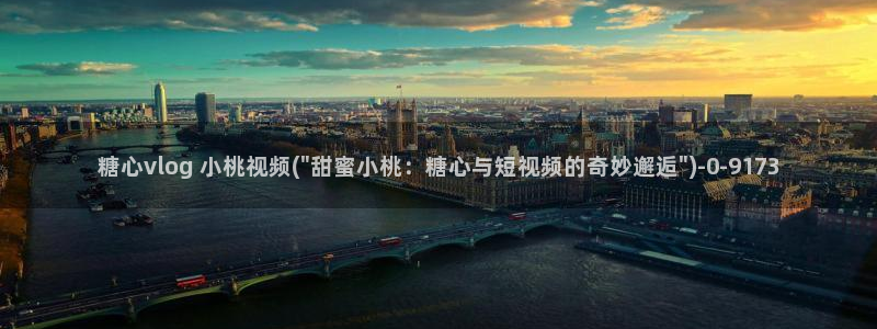 糖心vlog网址苹果版