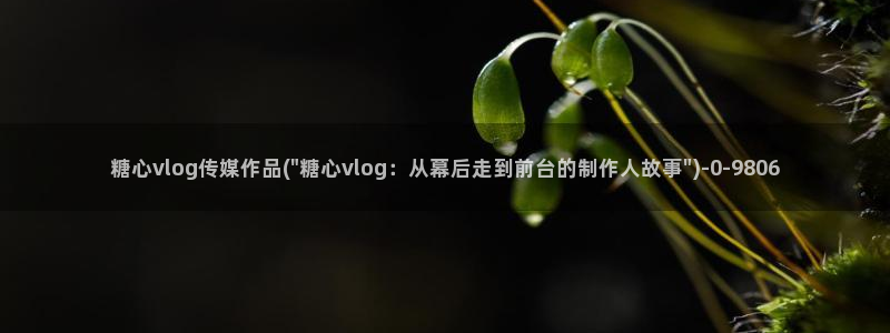 糖心vlog怎么无限看