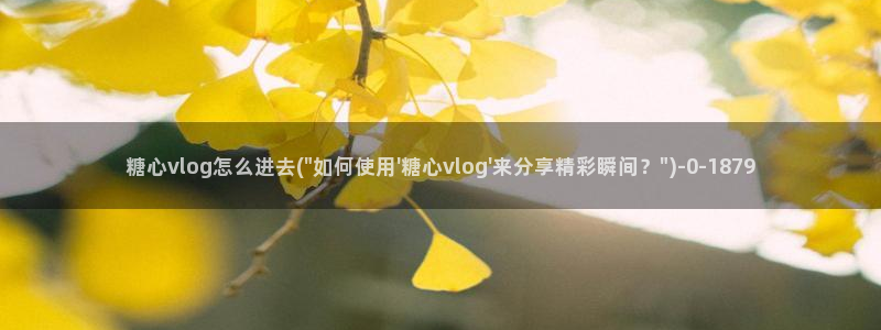 免费糖心vlog导航
