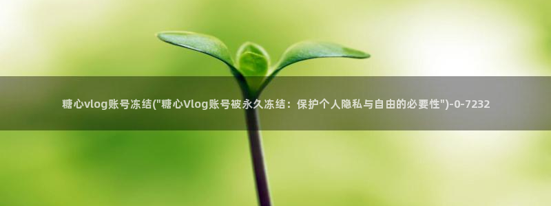 糖心vlog出品柚子猫