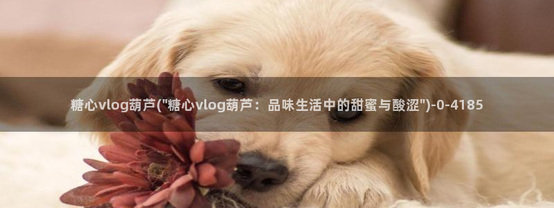 糖心vlog柚子