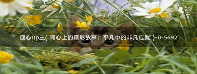 糖心vlog入口：糖心up主(\