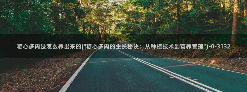 糖心vlog免费视频：糖心多肉是怎么养出来的(\