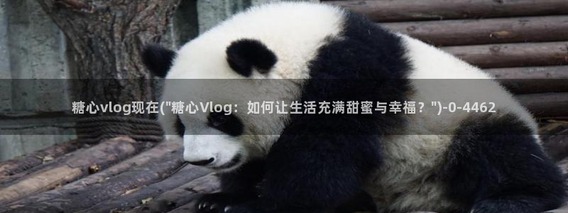 糖心vlog下载大全：糖心vlog现在(\