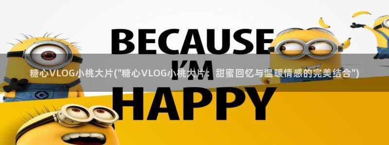 糖心vlog切换账号