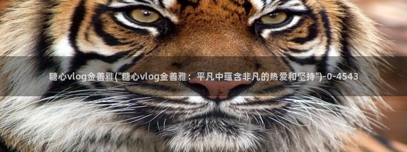 糖心vlog柚子猫内射：糖心vlog金善雅(\