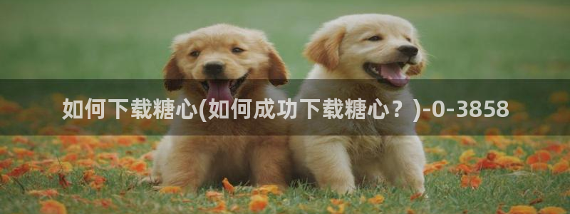 糖心vlog最新版本：如何下载糖心(如何成功下载糖心？)