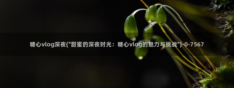 糖心vlog入口网站