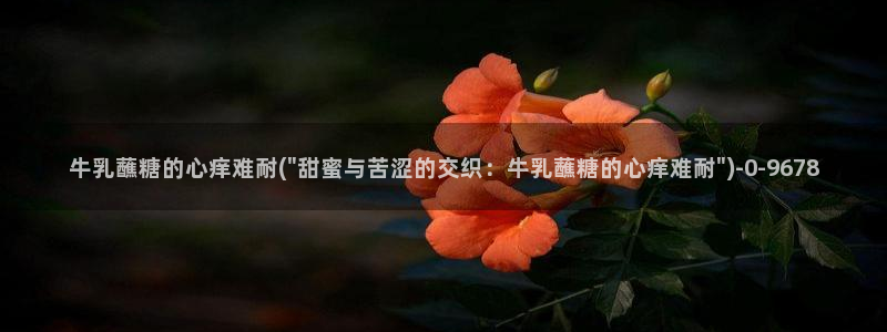 糖心vlog芋圆