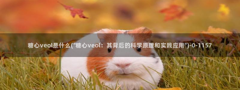 糖心vlog娜娜