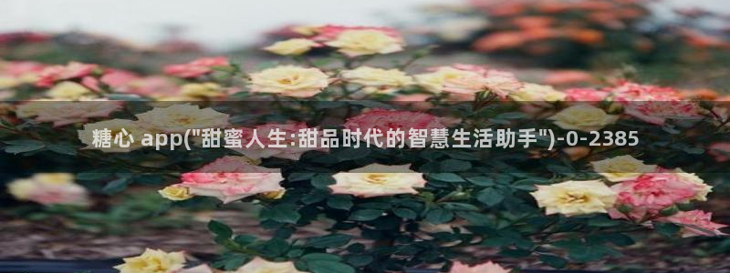 糖心vlog78