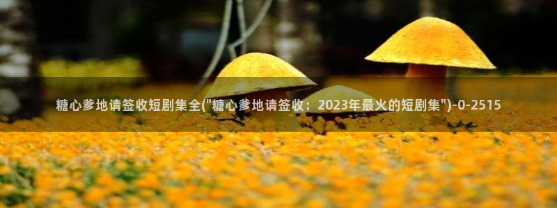 糖心深夜释放自己vlog新版本